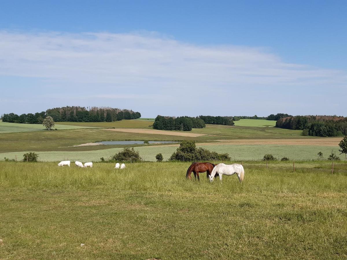 Ubytovani U Krivanku 1 Telč Kültér fotó
