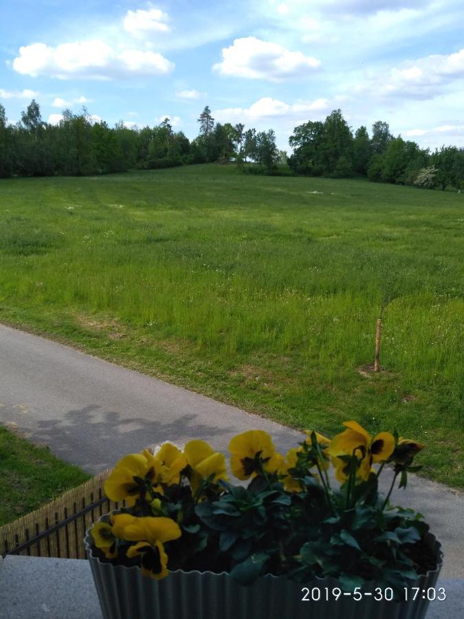 Ubytovani U Krivanku 1 Telč Kültér fotó