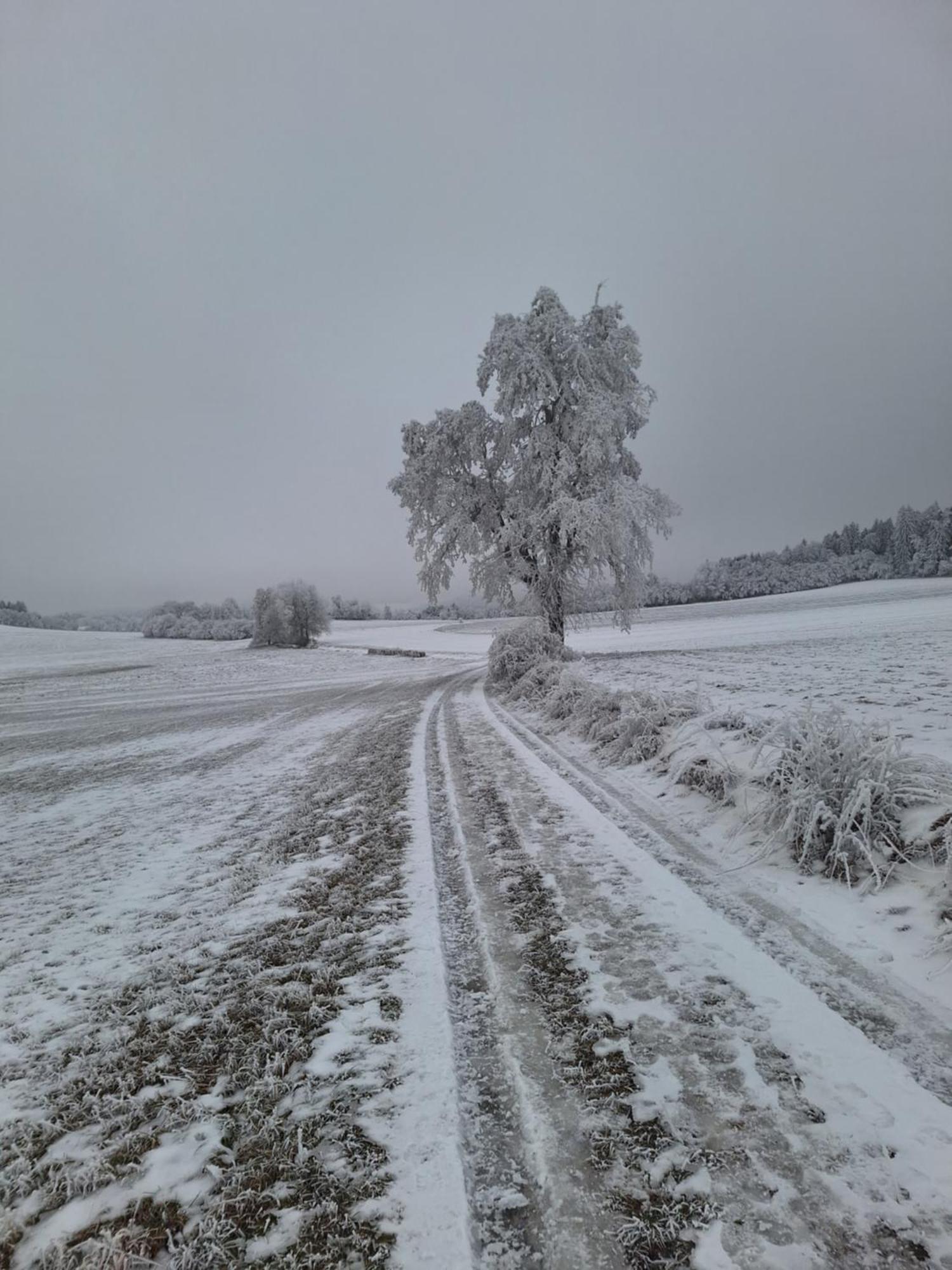 Ubytovani U Krivanku 1 Telč Kültér fotó