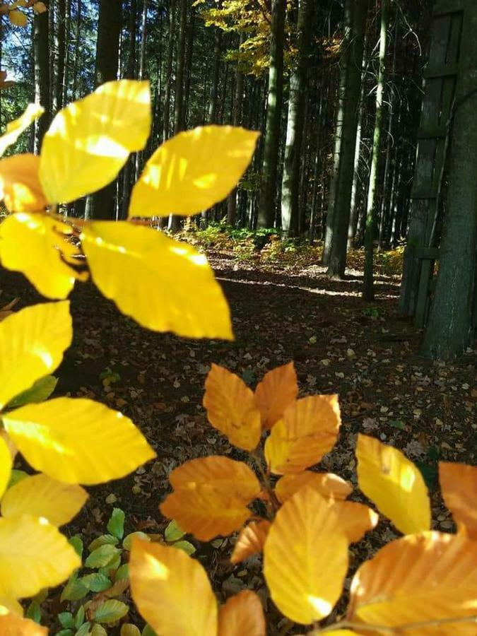 Ubytovani U Krivanku 1 Telč Kültér fotó